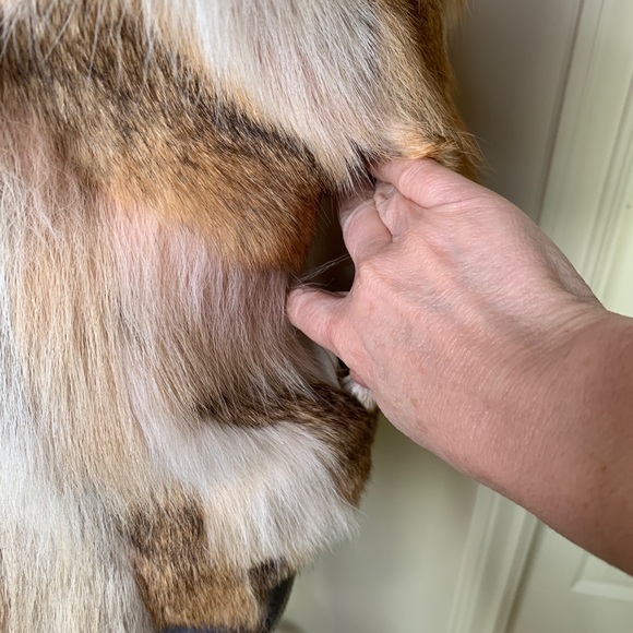 Adam Lippes Coyote vest. - Picture 9 of 14